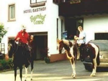 Hotel- Landgasthof Baumhof-Tenne 마르크차이덴펠트 외부 사진